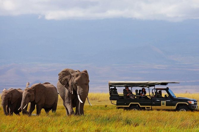 7 Days Breathtaking Kenya Wildlife Private Safari - Day 2: Elephants and Kilimanjaro in Amboseli