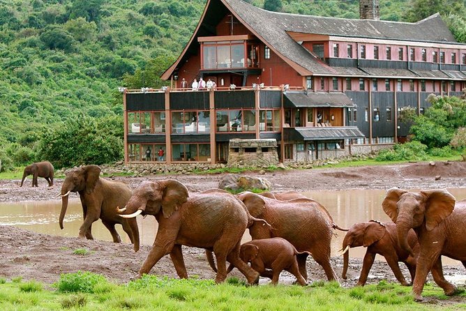 7 Days Breathtaking Kenya Wildlife Private Safari - Day 1: Nairobi to Amboseli and the first evening drive
