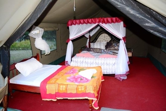 7 days Group Safari Masai Mara Lake Nakuru Hells gate & Amboseli - Day 6: Elephants, swamps, and Kilimanjaro in Amboseli