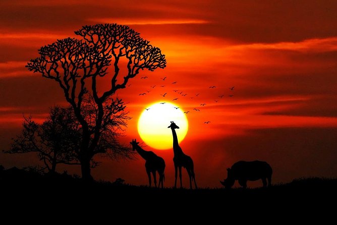 7 Days Kenya Luxury Safaris - Masai Mara NR, Amboseli NP and Lake Nakuru NP - Days 2 and 3: elephants and Kilimanjaro in Amboseli