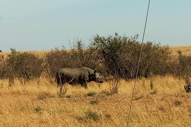 7 Days maasai mara - lake nakuru - lake naivasha- amboseli safari. - Day 5: Hell’s Gate before the drive to Amboseli