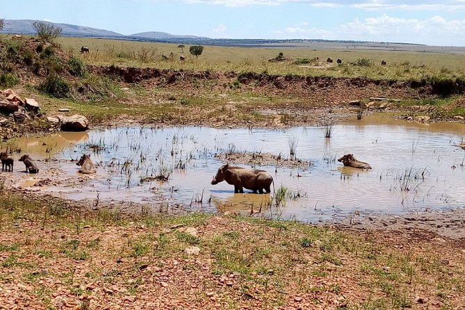7 Days Maasai Mara, Lakes Nakuru, Naivasha & Amboseli Group Tour - Why this seven-day route works