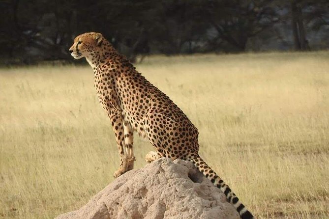 7 Days Maasai Mara National park , Amboseli parks and Nakuru safaris - Day 3: Rift Valley views and Lake Nakuru rhinos