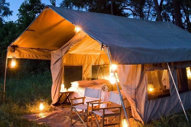 7 Days Mara/L.Naivasha/L.Nakuru/Amboseli - Day 2: A full Maasai Mara game-viewing day