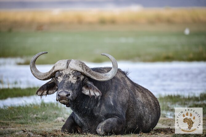 7 Days Masai Mara-Lk. Nakuru-Lk. Naivasha-Amboseli group Safari - Day 1: The Great Rift Valley on the way to Masai Mara