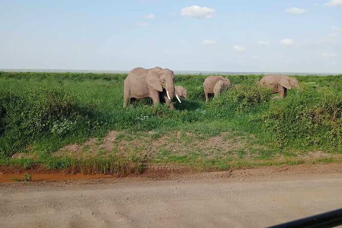 7 Days of Kenyan Wonders: A Mid-Range Safari Adventure - Key points at a glance