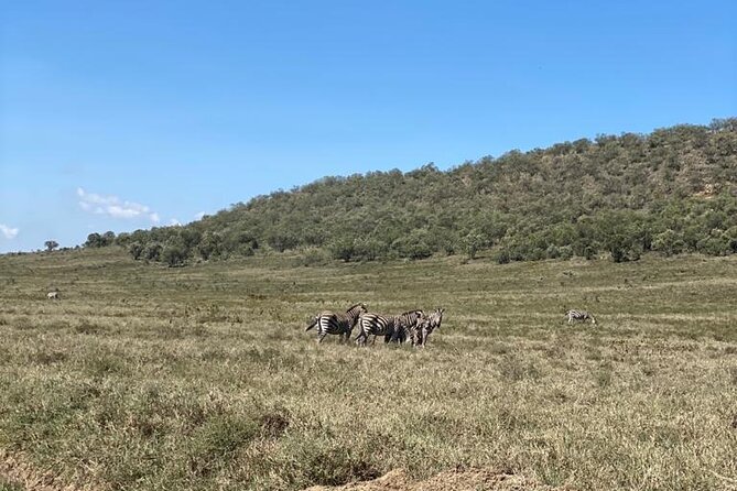 7 Days Private 4 star lodges Safari by LandCruiser from Nairobi - Day 5: The road to Amboseli and Mount Kilimanjaro