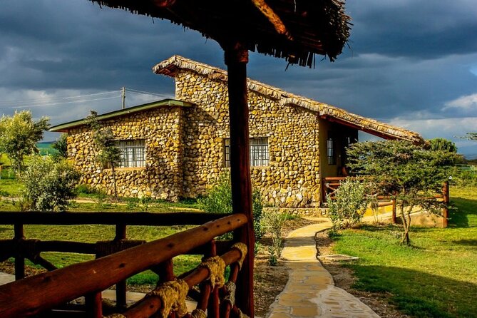 7 Days Private 4 star lodges Safari by LandCruiser from Nairobi - Day 7: Final game drive and return to Nairobi