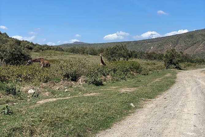 7 Days Private safari to 4 Star lodges using a Jeep - Day 3: Leaving the Mara for Nakuru