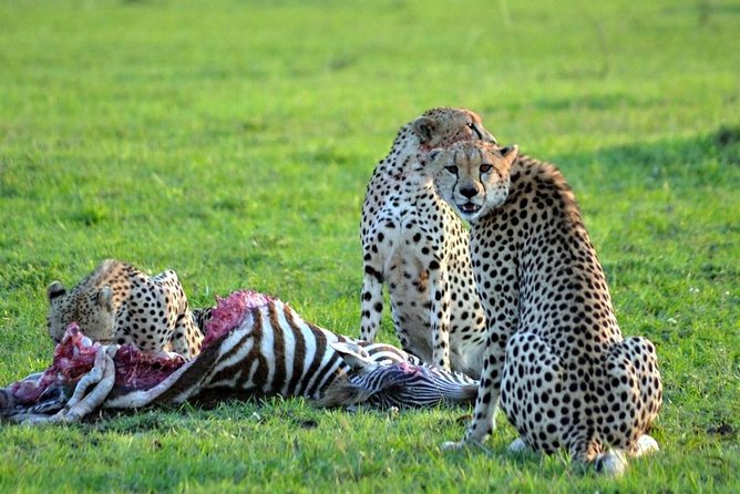 7 days safari to Masai Mara Nakuru ,Naivasha and Amboseli parks - Day 5: Cycling through Hell’s Gate before Amboseli