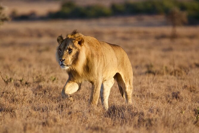 8-Day Amazing Kenya Holiday Safari - Day 4: North to Samburu