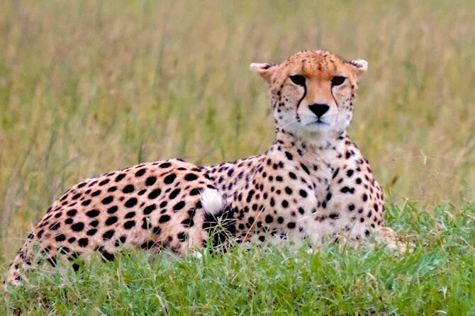 8 Day Bush and Beach Private Holiday Safari - Key points at a glance