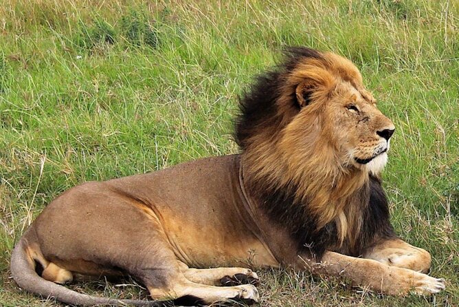 8 Day Bush and Beach Private Holiday Safari - From Nairobi to the Rift Valley