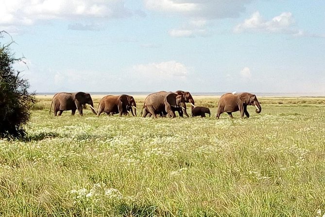8 Day Safari: Best of Kenya & Tanzania - Day 1: Lake Nakuru and the view from Top Cliff Lodge
