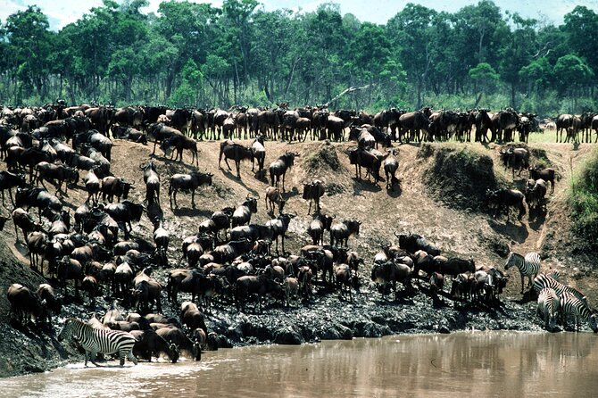 8 Days / 7 Nights 2021 / 2022 Wildebeest Migration Safari - Maasai Mara Reserve - Day 2, crossing the Equator toward Samburu