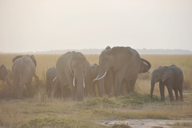 8 Days / 7 Nights 2021 / 2022 Wildebeest Migration Safari - Maasai Mara Reserve - Day 4, Lake Nakuru and the Great Rift Valley