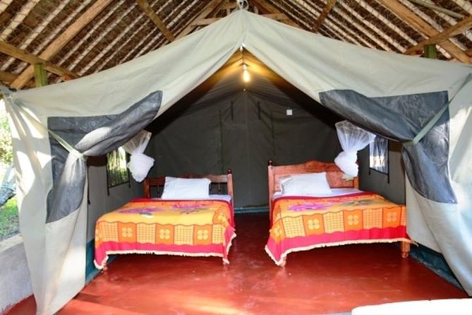 8 Days Kenya and Tanzania Private Lodging Safari from Nairobi - Day 3: Leaving Kenya through Isibania
