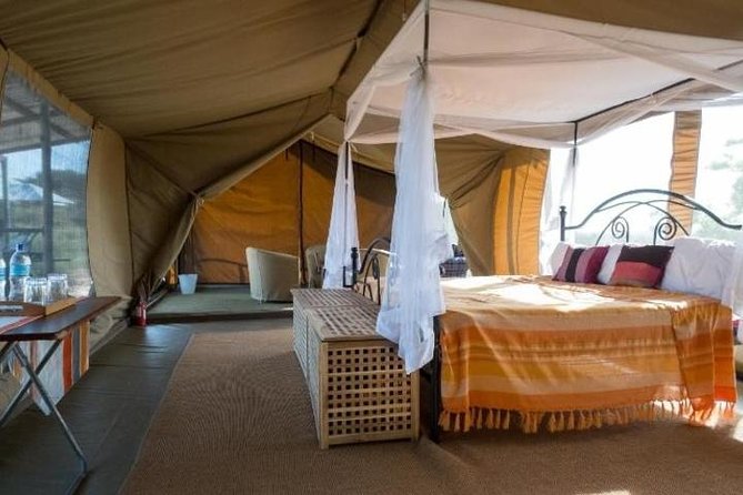 8 Days Kenya and Tanzania Private Lodging Safari from Nairobi - Day 4: A full day across the Serengeti