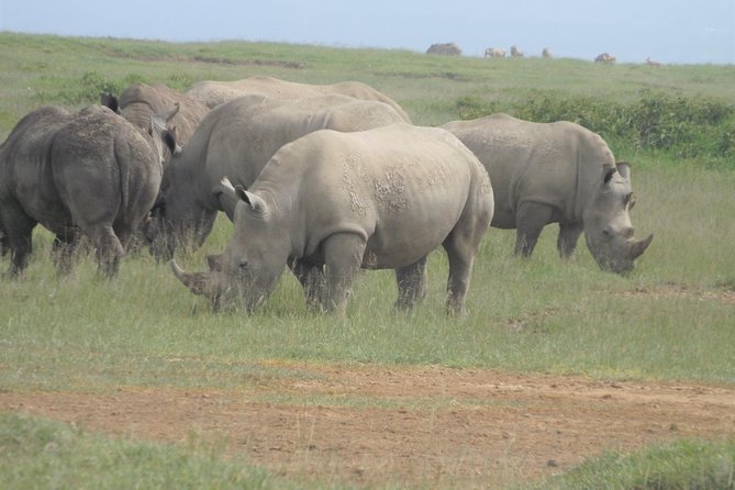 8 Days Safari to Amboseli, Great Rift Valley Lakes & Masai Mara - Day 3: The Rift Valley and Hell’s Gate