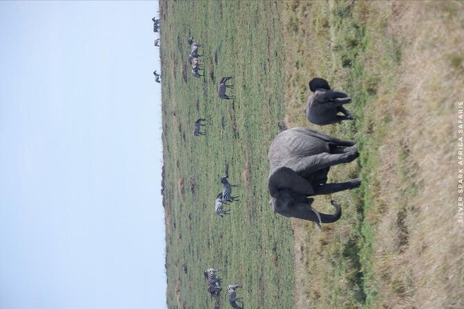 8 Days: Tsavo East National Park Amboseli, Nakuru, Maasai Mara Park - Lake Nakuru: a change of pace beside the lake