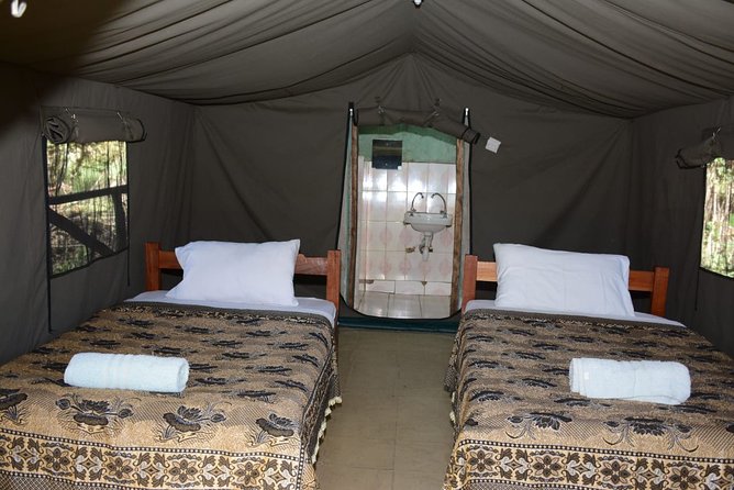 9 days, 8 nights budget Kenya and Tanzania safari - Day 5: Lake Manyara and the switch to Tanzania