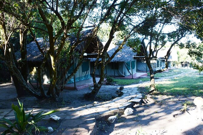 9 days, 8 nights budget Kenya and Tanzania safari - Days 6 and 7: Two nights in Serengeti National Park