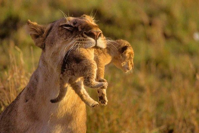 9 Days Kenya Classic Lodge Safari - Day 4: Lake Nakuru, Naivasha, and Hell’s Gate