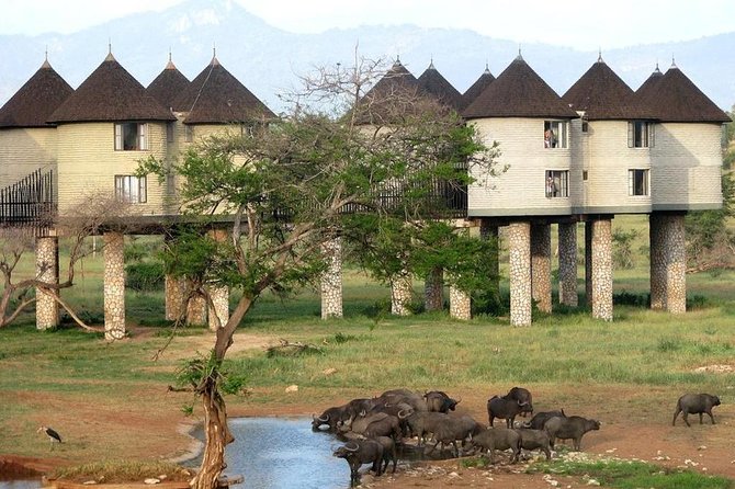 9 Days Kenya Classic Lodge Safari - Day 5: The long move to Amboseli