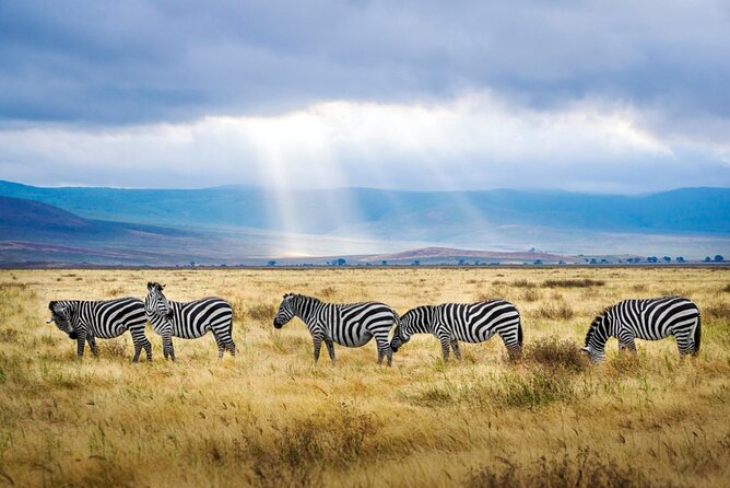 A thrilling Kenya 4 Days Adventure: Masai Mara &Lake Nakuru - Day 3: Maasai culture and the road to Lake Nakuru