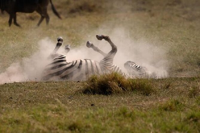 A thrilling Kenya 4 Days Adventure: Masai Mara &Lake Nakuru - Day 4: Lake Nakuru before the drive back