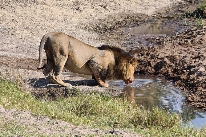 A thrilling Kenya 4 Days Adventure: Masai Mara &Lake Nakuru - Practical details before you reserve