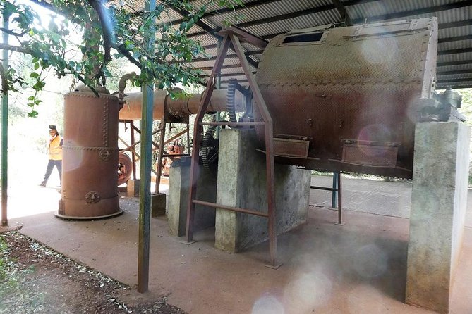 A visit to Karen Blixen Museum - The Ngong Hills and the gardens