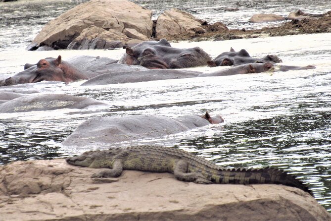 Adventure-fueled 3 Days Maasai Mara Safari - Day 3: Returning to Nairobi and lunch at Carnivore