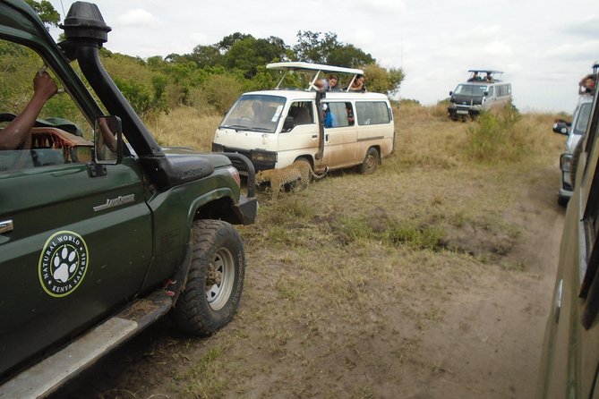 African Wildlife & Nature - 5 Kenya national parks - 6 day Jeep Safari - Day three: Lake Naivasha by boat and on foot