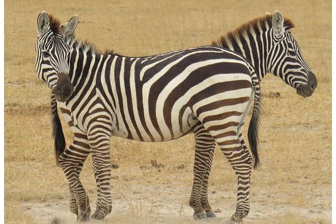 African Wildlife & Nature - 5 Kenya national parks - 6 day Jeep Safari - Day six: return to Nairobi through the Rift Valley