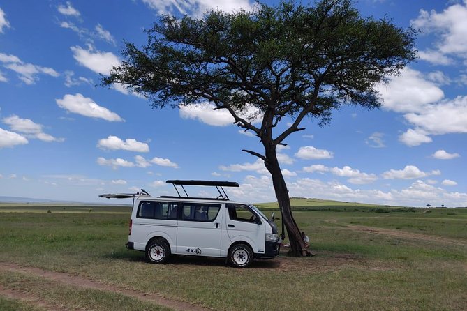 Afternoon half day mini safari to Nairobi National Park - Leaving the park around 6:00 PM