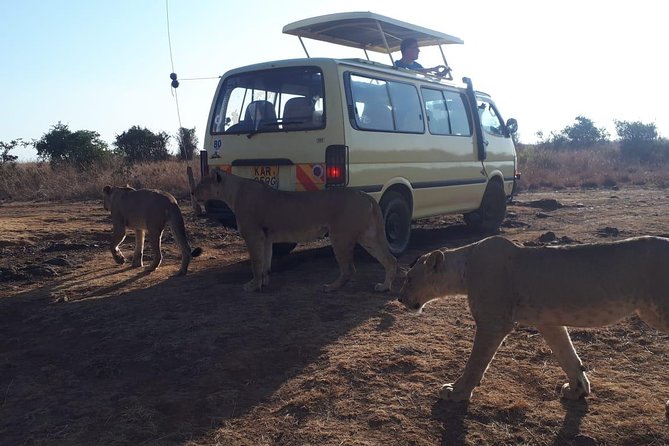 Airport Pick Up To Nairobi National Park / Drop Off - Pickup after landing and the airport timing question