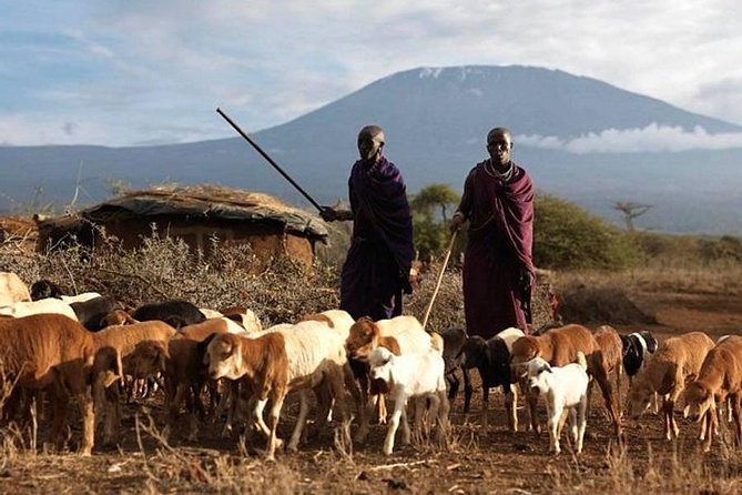 Amboseli Day Tour from Nairobi - Key points to know before you book