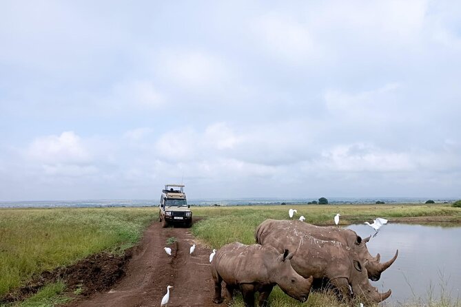 Amboseli day trip with pick up - Meeting a Maasai community