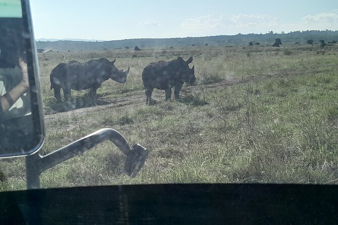 Amboseli day trip with pick up - Comfort, group size, and family suitability