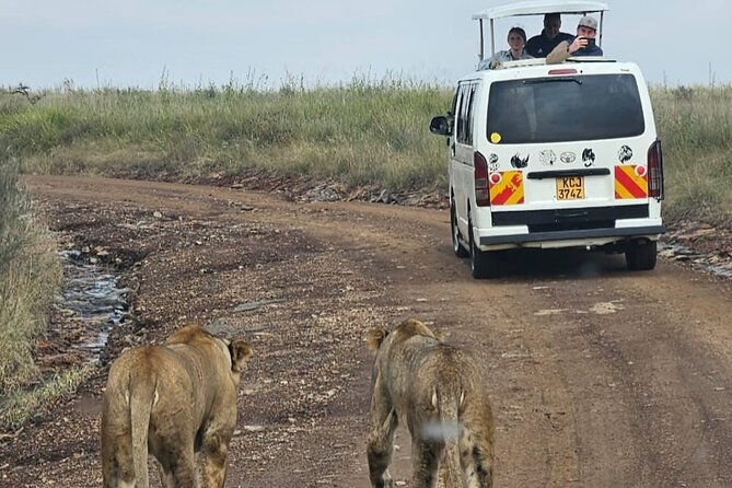 Amboseli Day Trip with Pickup - Mount Kilimanjaro beyond the animals