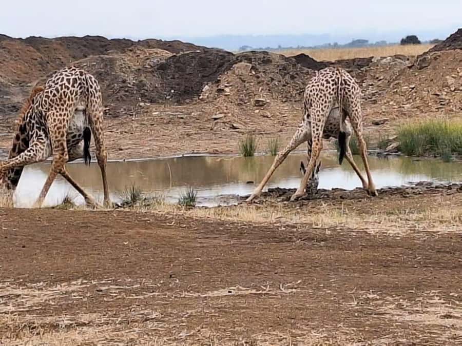 Amboseli National Park 3-Day Safari from Nairobi - Sunset, dinner, and the Maasai village