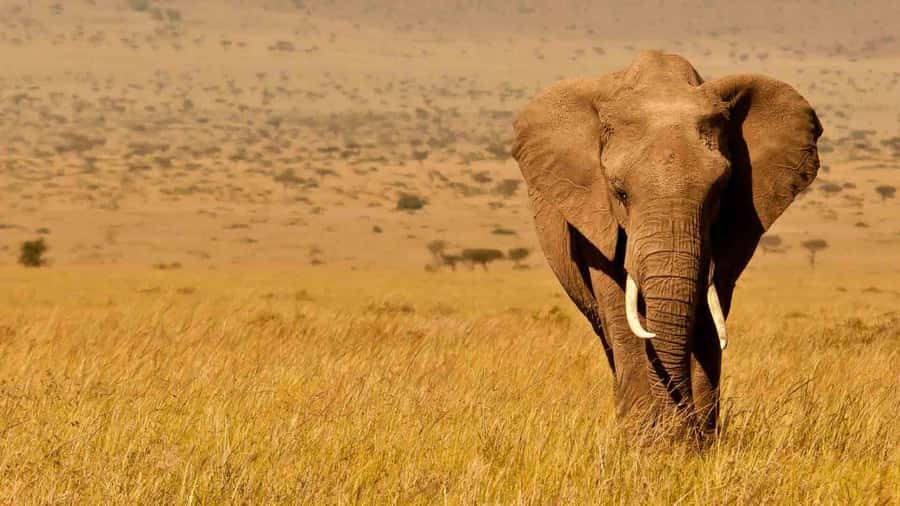 Amboseli National Park 3-Day Safari from Nairobi - The three-hour road from Nairobi to the park