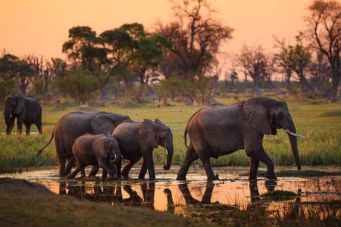 Amboseli National Park Day tour; Free Wifi Connection - Entering Amboseli National Park