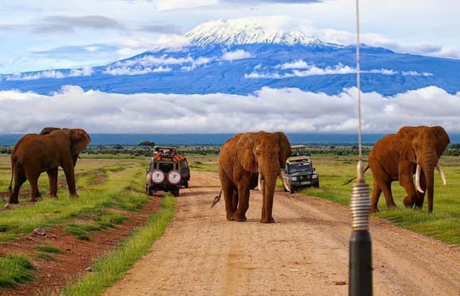 Amboseli National Park Day Trip and Maasai Village Visit - Kilimanjaro views depend on the clock