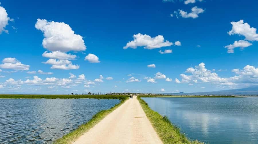 Amboseli National Park Day Trip and Maasai Village Visit - Should you book the Amboseli day trip?