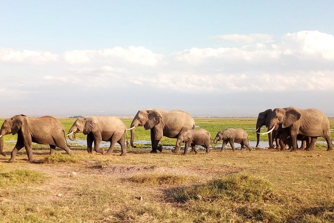 Amboseli National park Day trip:Mt kilimanjaro Views - Entering Amboseli National Park