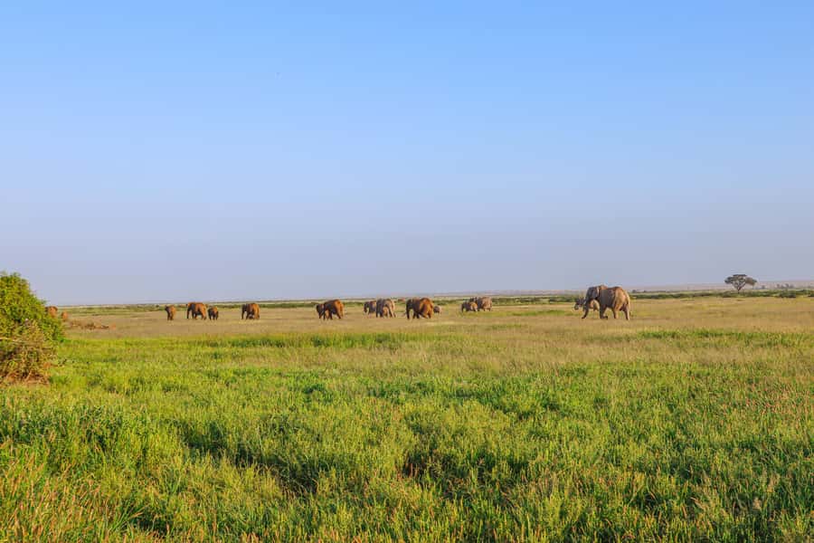 Amboseli National Park: Daytrip from Nairobi in a 4X4 Jeep - The return to Nairobi