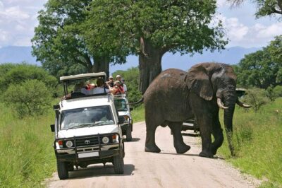 Amboseli National Park Full Day Guided Tour