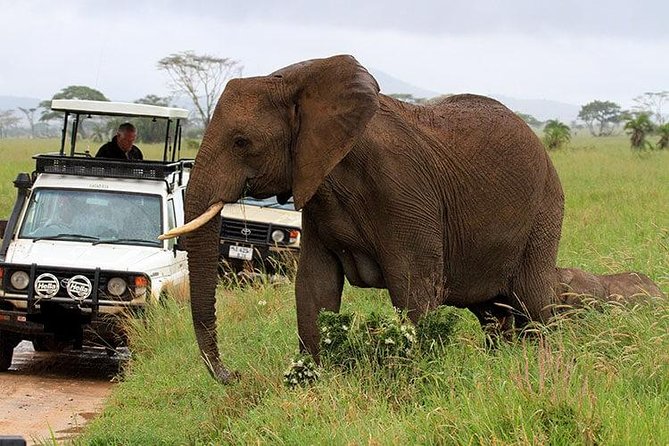 Amboseli National Park Full Day Guided Tour - Who will enjoy this tour most
